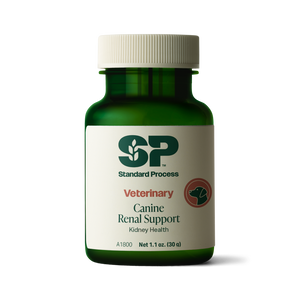 Canine Renal Support, 30 g